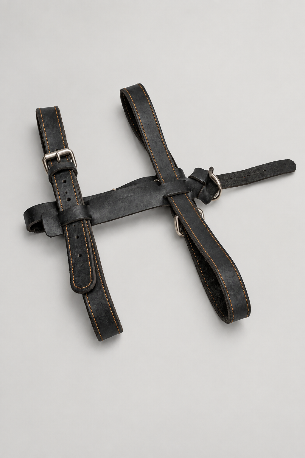 Grey studio harness photo 1