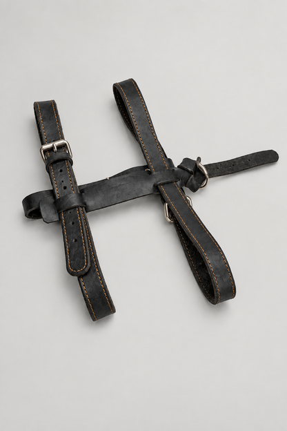 Grey studio harness photo 1