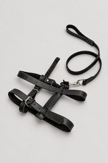 Grey studio harness photo 5