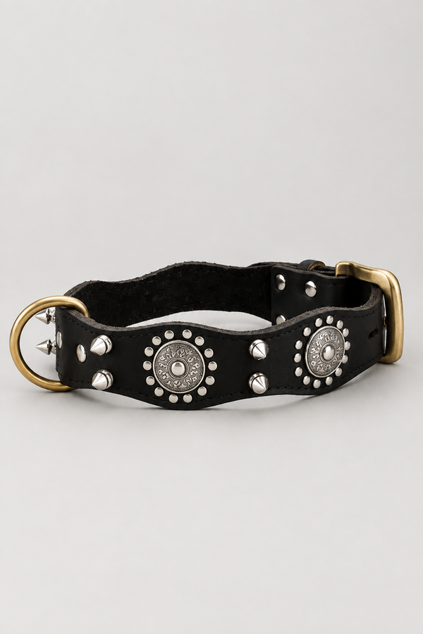 Studded Leather Dog Collar