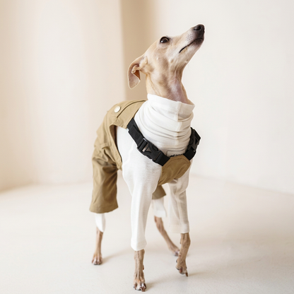 Front portrait of a dog in Beige Urban Explorer overalls showing black chest straps and buckles over a separate white high-neck top.