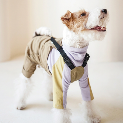 Terrier wearing Beige Urban Explorer rear-leg dog overalls with black straps and buckles over a separate lilac-and-yellow top; top inclusion is unconfirmed.