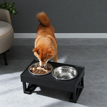 Dog eating from stainless steel bowl in a black raised stand
