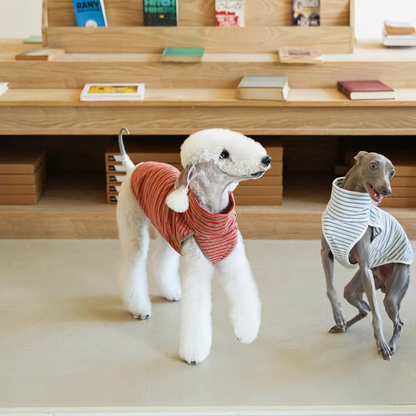 Two dogs beside wooden bookshelves wearing Autumn Stripes sleeveless fleece vests, one chestnut brown with red stripes and one pale with grey-blue stripes.