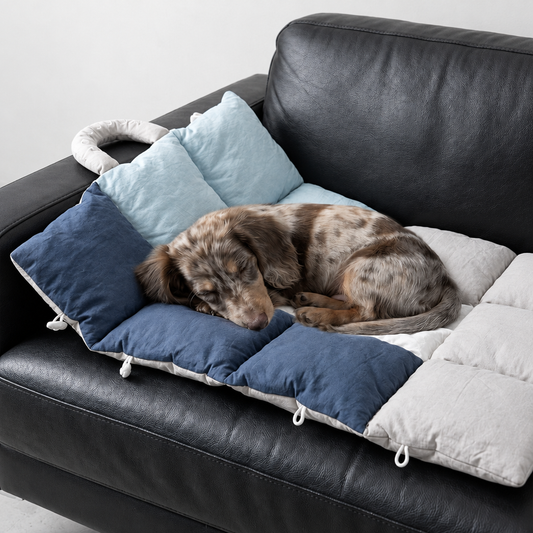 Quilted Dog Travel Mat & 2-in-1 Carry Bag