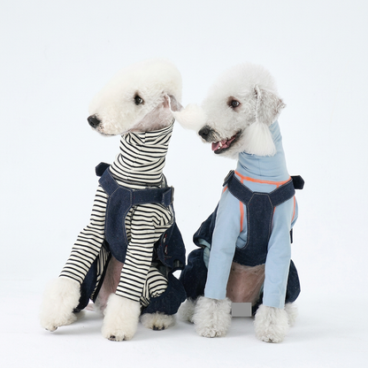 Two seated white dogs wearing denim dungarees over separate striped and pale blue tops, looking sideways in a white studio; privacy masking retained.