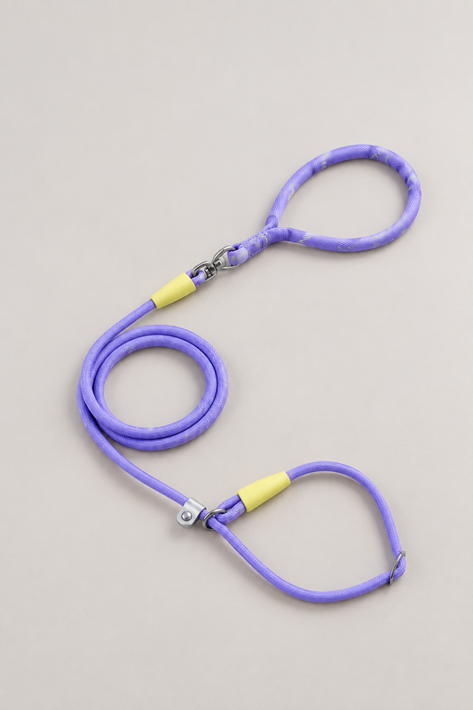 Small dog rope slip lead in Violet
