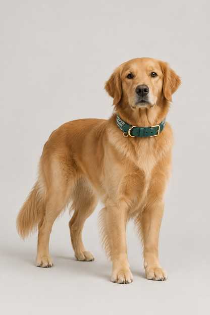 Herringbone leather dog collar – view 3