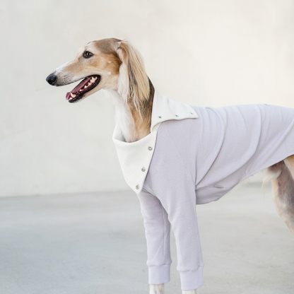 Snap Button Dog Shirt – Grey or Purple