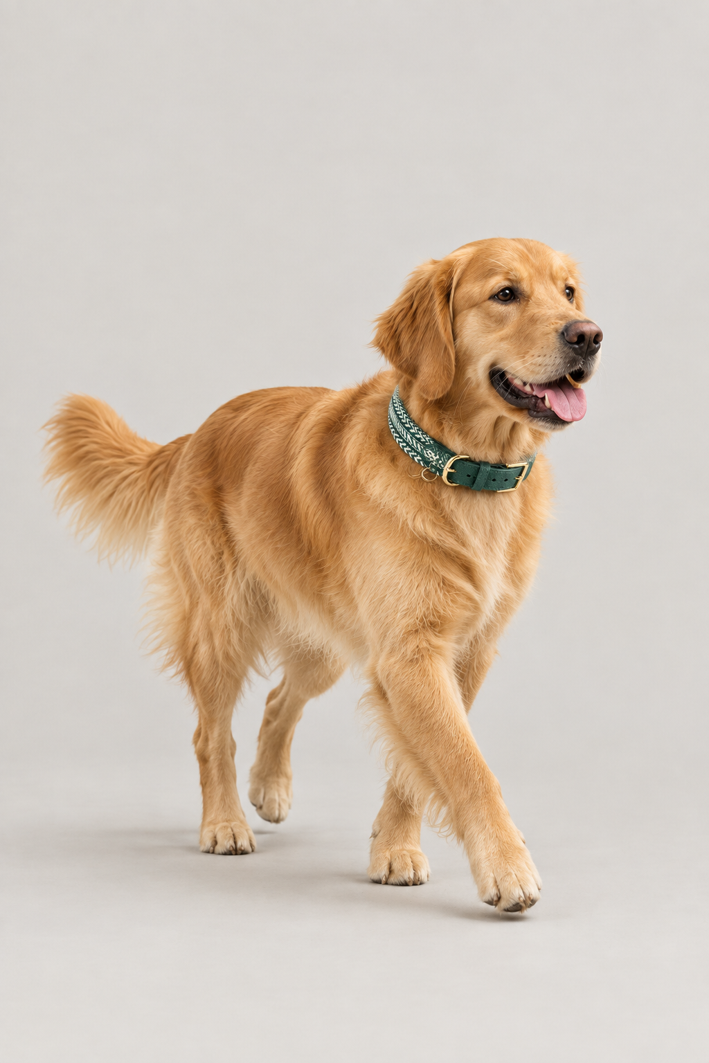 Herringbone leather dog collar – view 2