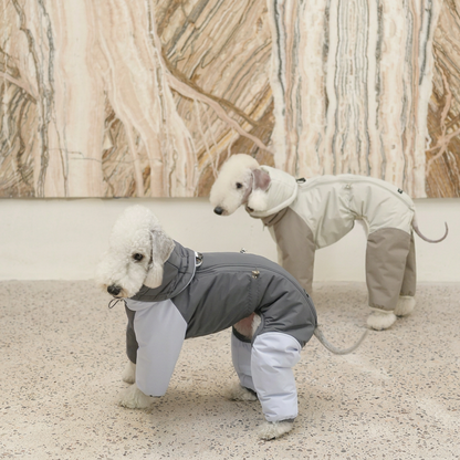 Autumn Colour-Block Four-Leg Dog Jacket
