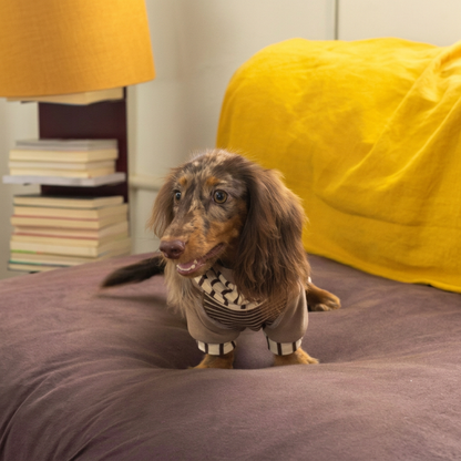 Caramel Stripe Four-Leg Dog Hoodie – Brown