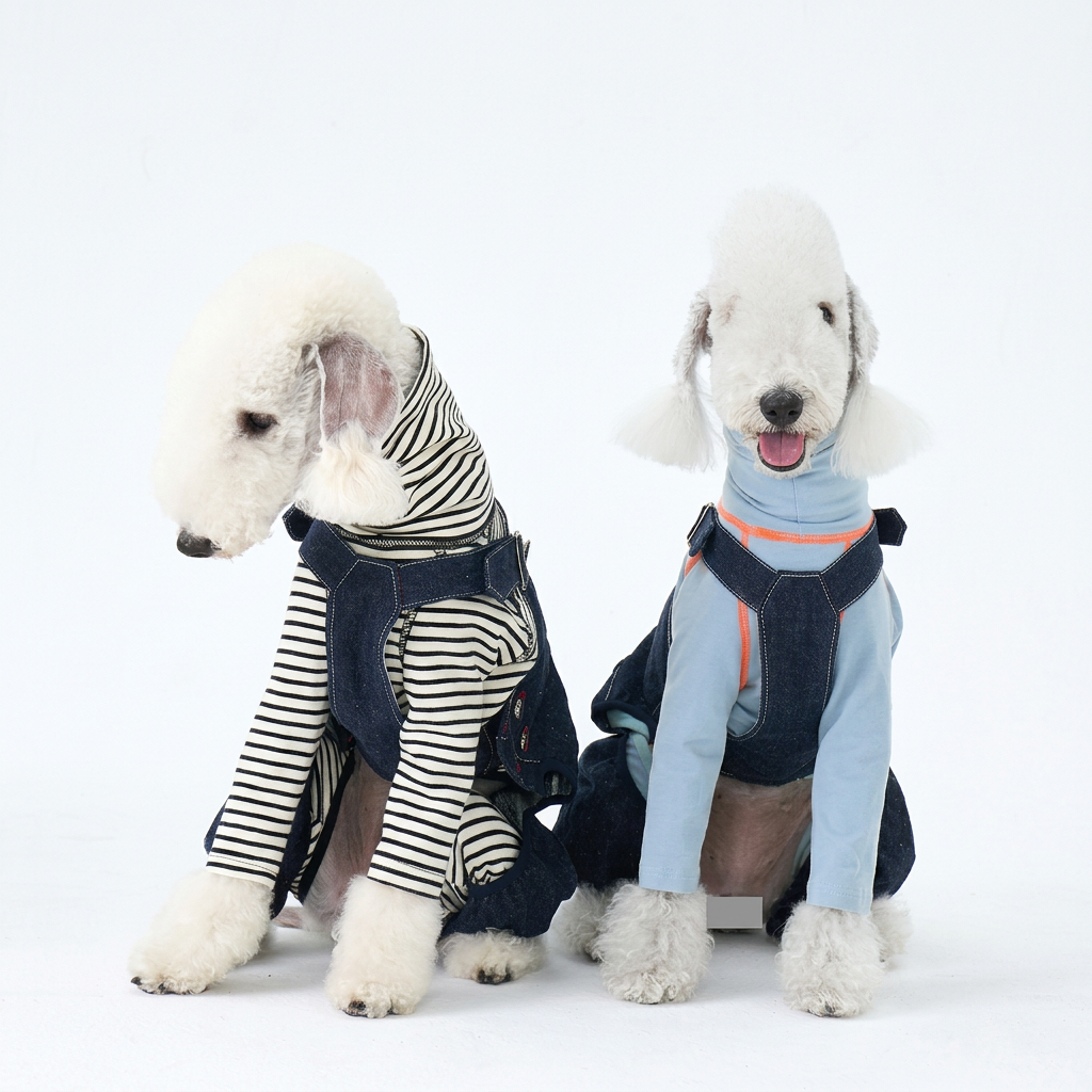 Two seated dogs in indigo denim overalls, styled with separate black-and-white striped and pale blue tops; privacy masking retained.