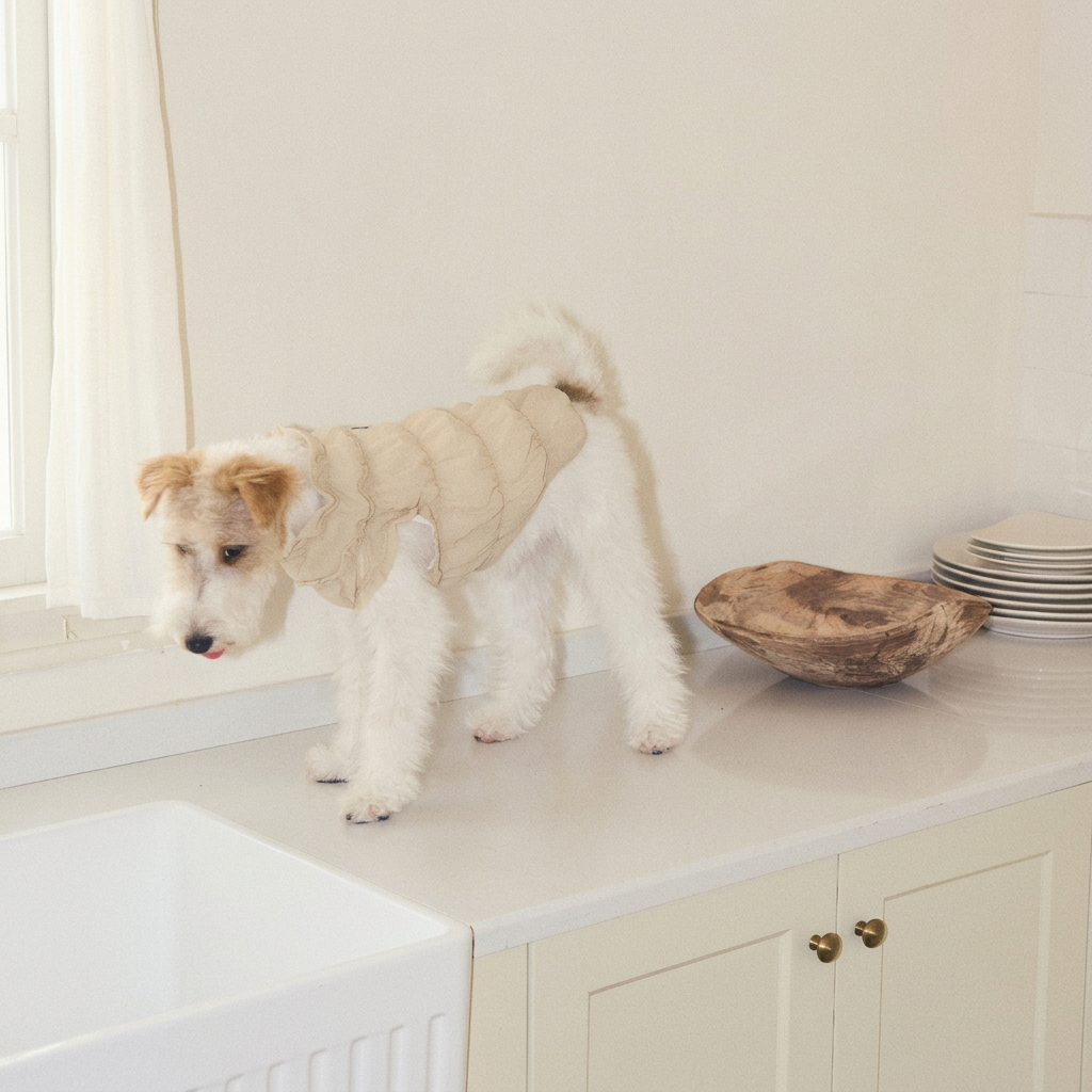 Ruffle Dog Vest – Lavender Mousse, Beige or Purple