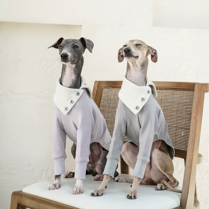 Snap Button Dog Shirt – Grey or Purple