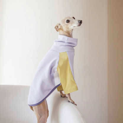 Comfy Trail Tee for Dogs