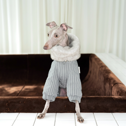 WinterCore Four-Leg Dog Jacket – Grey, White or Navy