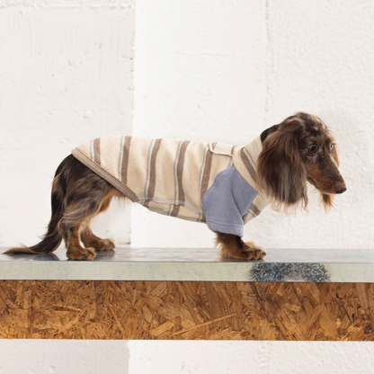 Honey Stripe Dog Jumper with Blue Sleeves – Beige