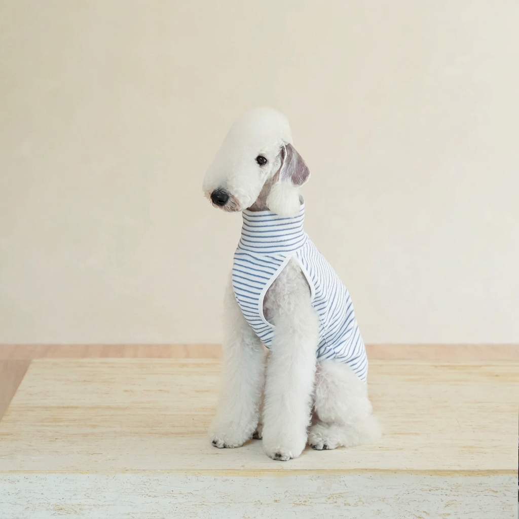 White dog seated in the pale striped Autumn Stripes fleece vest, showing its high collar and sleeveless leg openings.