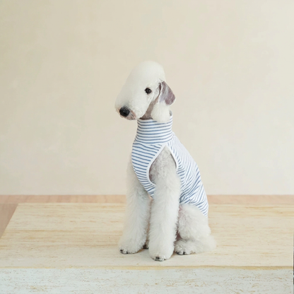 White dog seated in the pale striped Autumn Stripes fleece vest, showing its high collar and sleeveless leg openings.