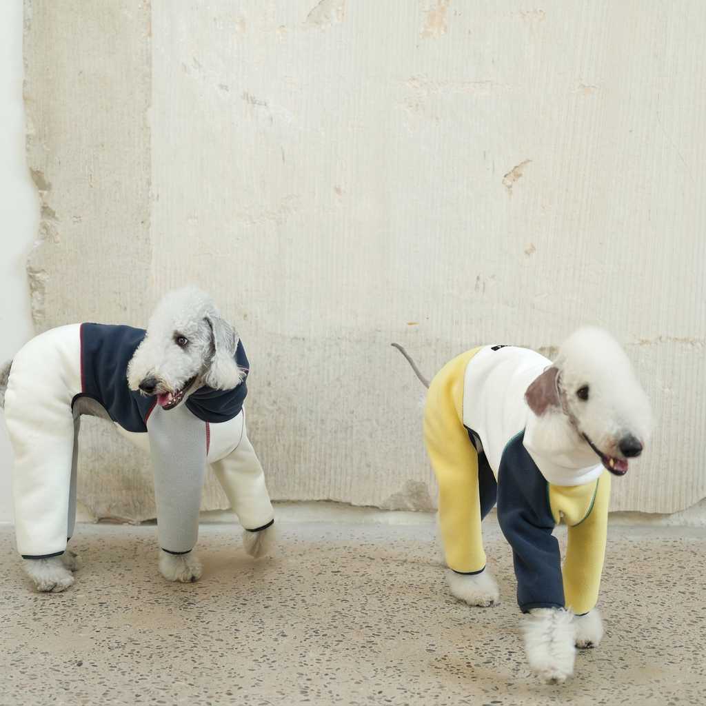 Polaris Colour-Block Four-Leg Dog Jumpsuit