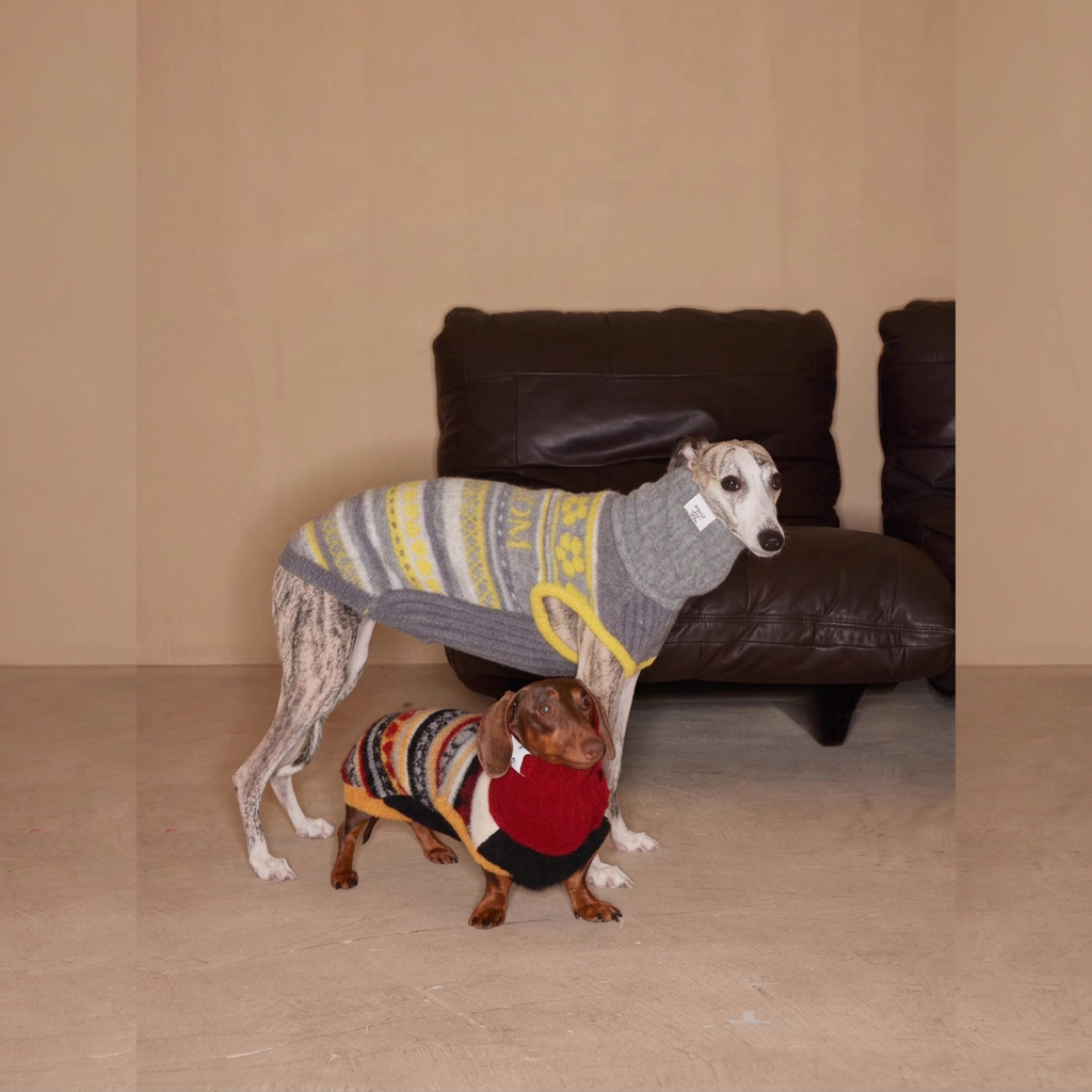 Tall dog in a grey and yellow Love You, Mum jumper beside a brown dachshund in the red patterned jumper, in front of a leather chair.