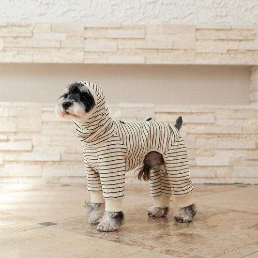 Cocoon Four-Leg Dog Jumpsuit – Solid or Striped