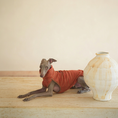 Grey dog resting beside a cream vase wearing the chestnut brown Autumn Stripes sleeveless vest with red stripes and high collar.