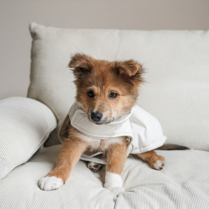Easy-On Puffer-Style Dog Vest – Blue or White