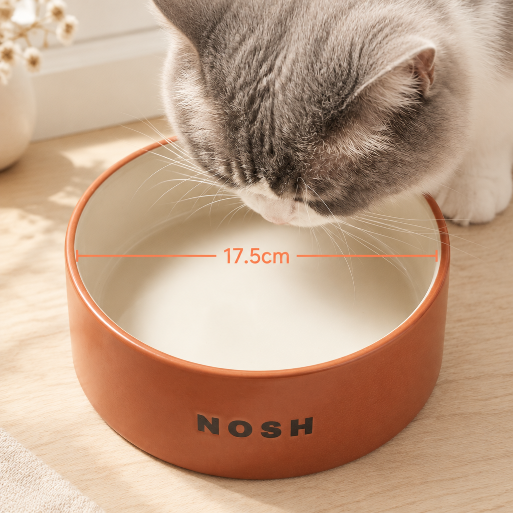 Ceramic Dog Bowl - Wide, Heavy Food and Water Bowl for Dogs and Cats, Standard or Raised