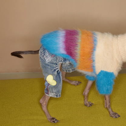 Snowday Candy-Stripe Knit for Dogs