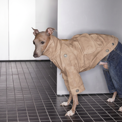 Urban Moto Suede Jacket for Dogs