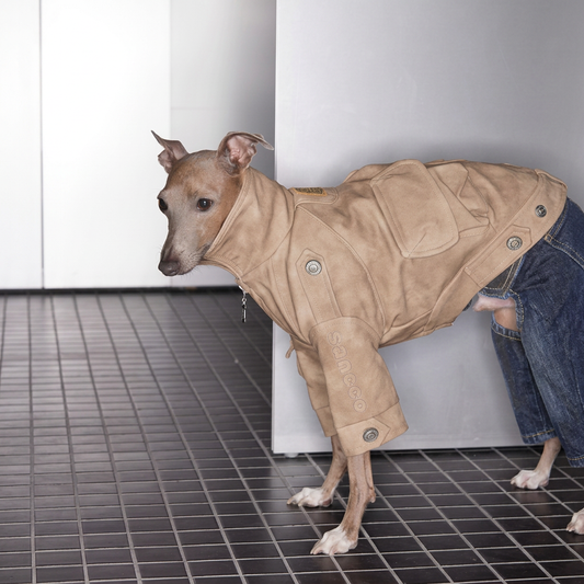 Urban Moto Suede Jacket for Dogs