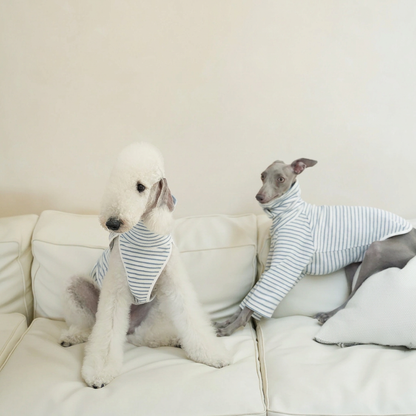 Two dogs on a cream sofa in pale striped garments: left wears the sleeveless vest; right wears a long-sleeved style not offered in this listing.