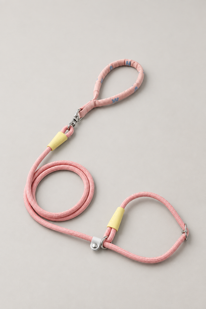Small dog rope slip lead in Rose