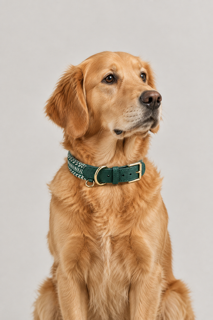 Herringbone leather dog collar – view 5
