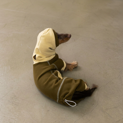 Ginger Chestnut Four-Leg Dog Hoodie – Brown and Cream