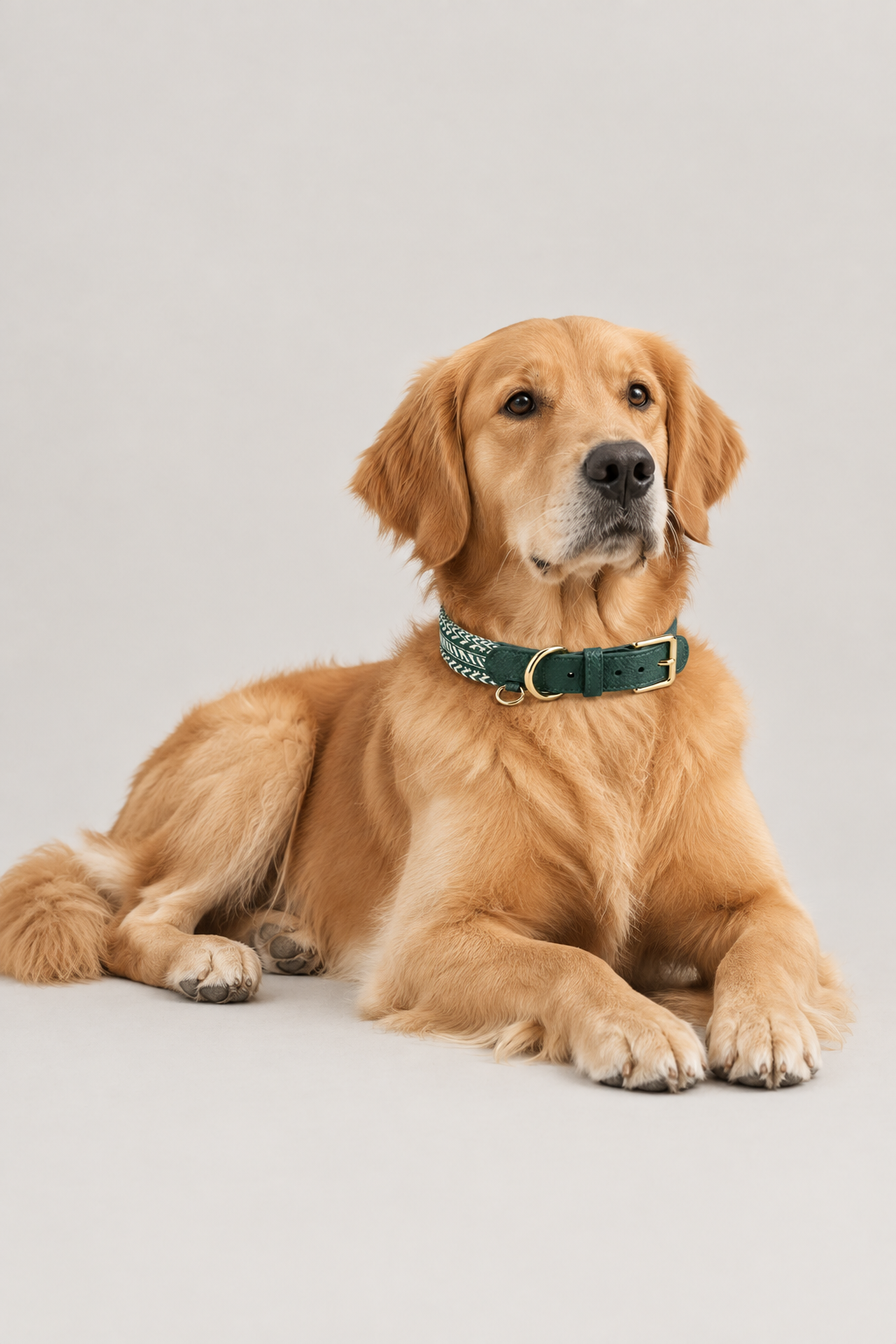 Herringbone leather dog collar – view 4