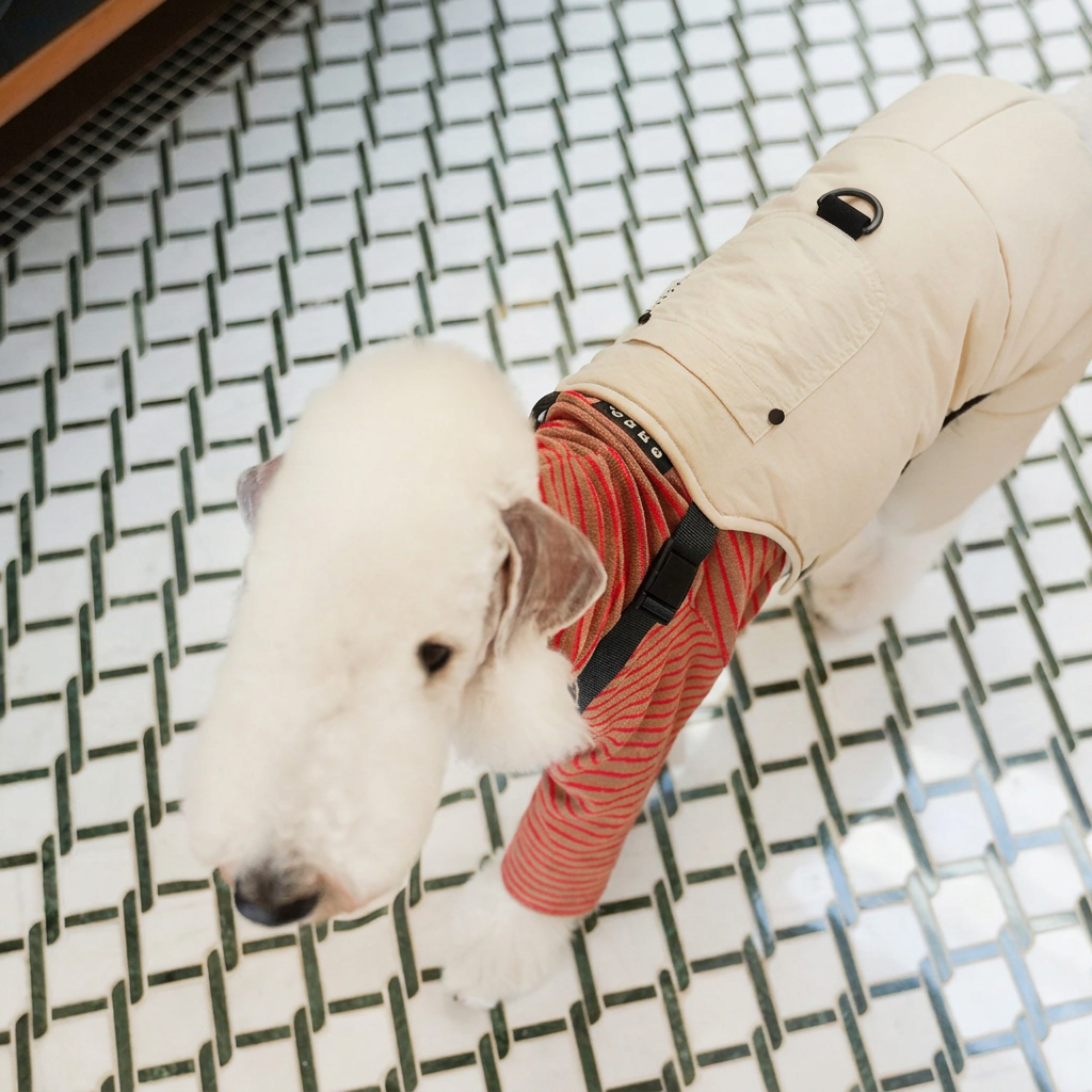 Overhead view of Beige Winter Workwear dog overalls showing the back ring, snaps, seams and black straps, styled with a separate red-striped top.