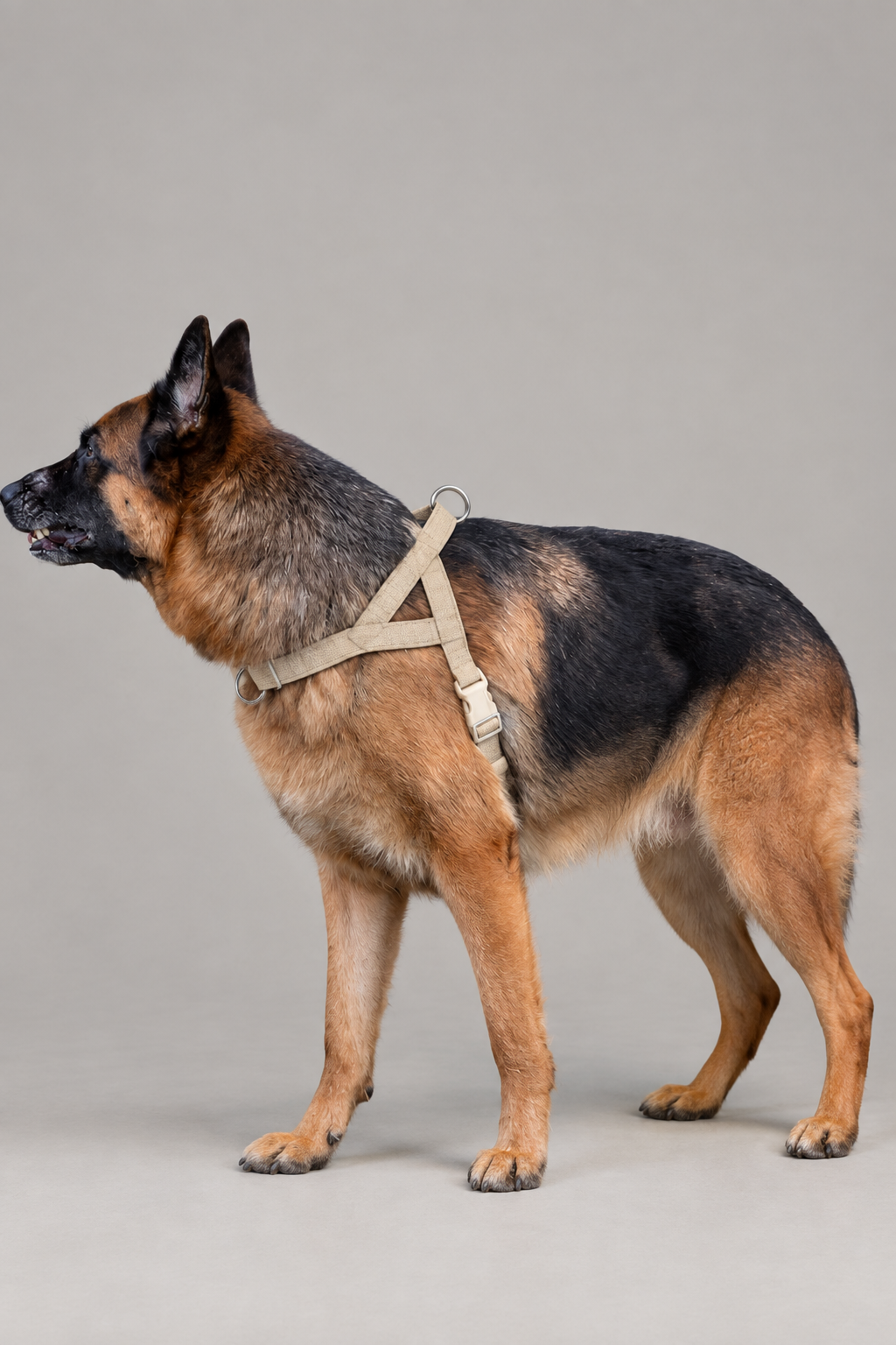 Linen dog harness – view 4