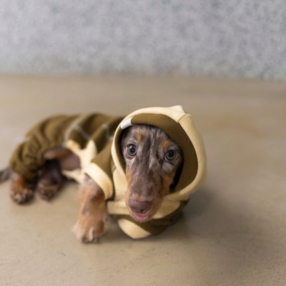 Ginger Chestnut Four-Leg Dog Hoodie – Brown and Cream