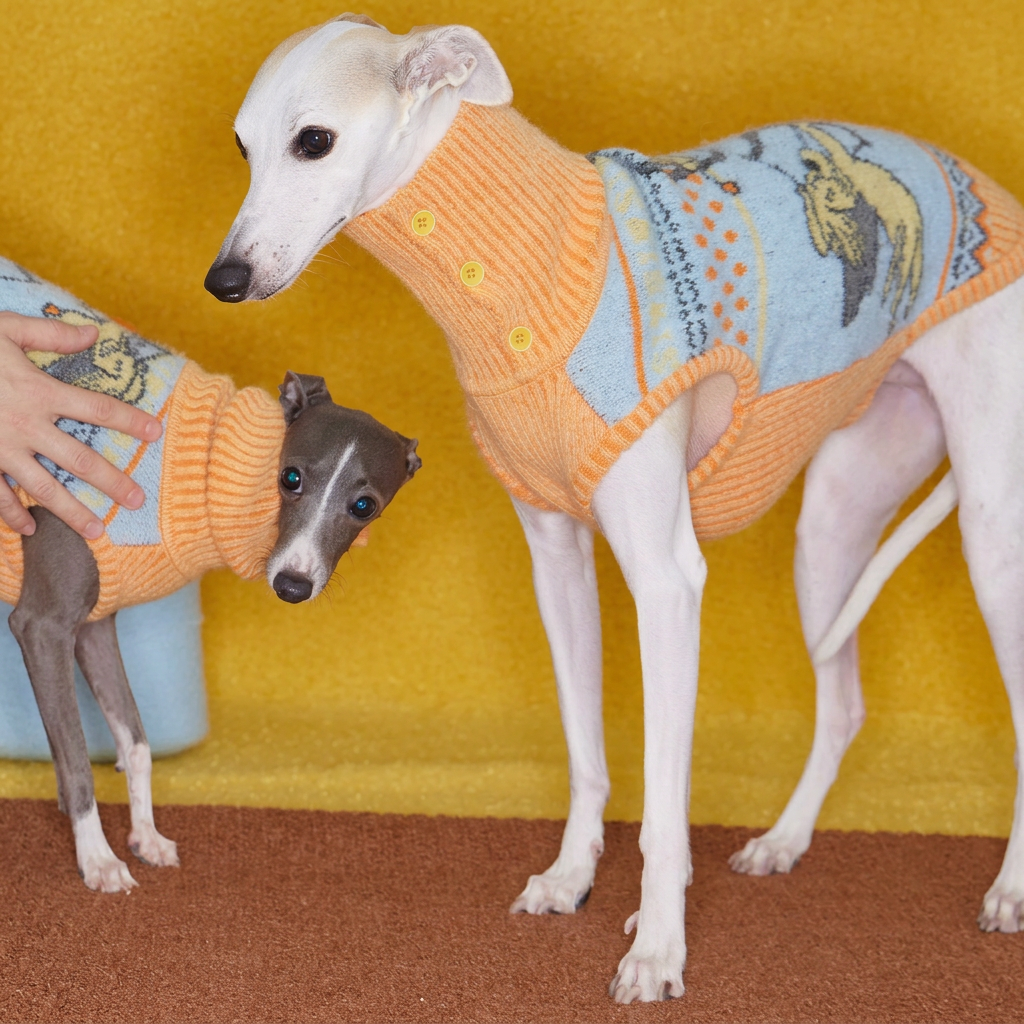 Angel Pattern Knitted Dog Jumper – Orange and Blue