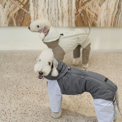 Autumn Colour-Block Four-Leg Dog Jacket