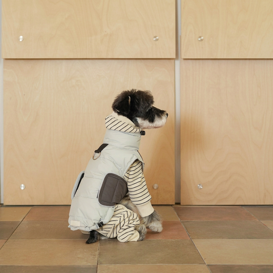 Apex White Duck Down Dog Vest – Blue or Yellow