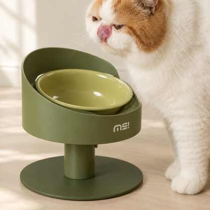 Cat beside green ceramic bowl and adjustable green stand