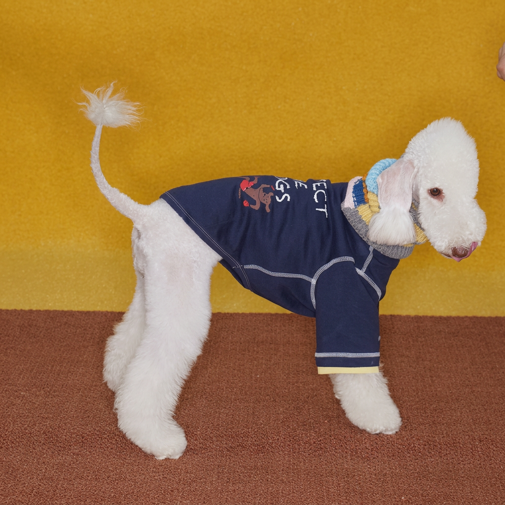 Boxing Embroidered Tee for Dogs