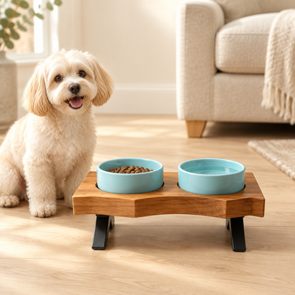 Small dog with blue-bowl feeder