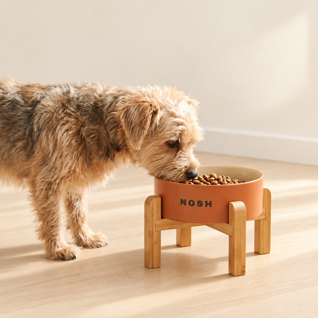 Ceramic Dog Bowl - Wide, Heavy Food and Water Bowl for Dogs and Cats, Standard or Raised