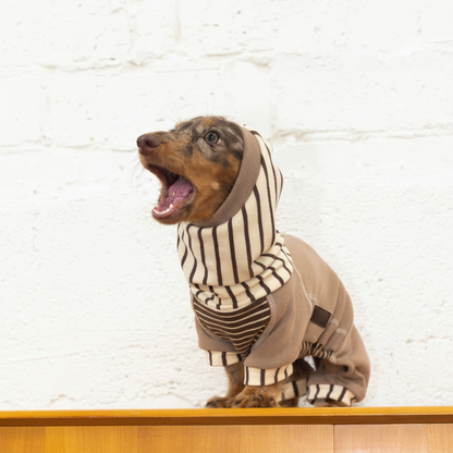 Caramel Stripe Four-Leg Dog Hoodie – Brown