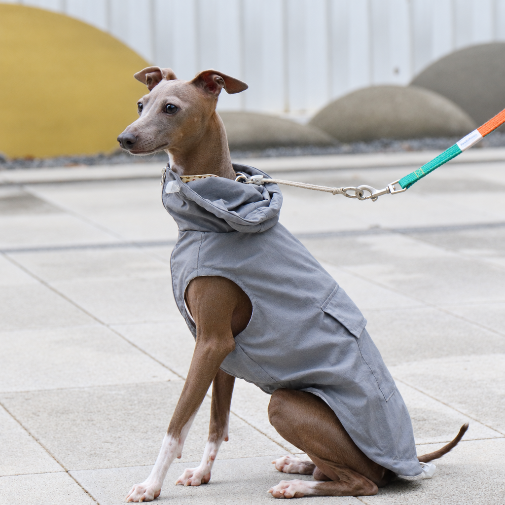 Lightweight Waterproof Sun Vest for Italian Greyhounds and Whippets – Thin Summer Dog Vest, S to 4XL